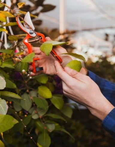 How to Create New Branches