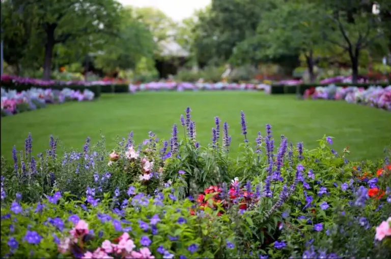 Flower Gardens