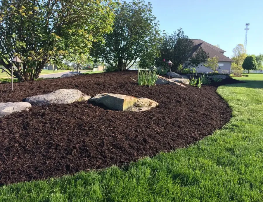 Mulching: A Must in Every Garden