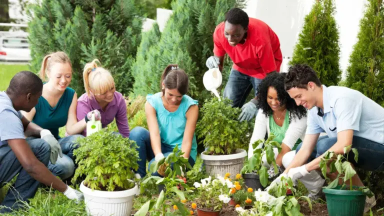 Make Your Garden Your Personal Canvas