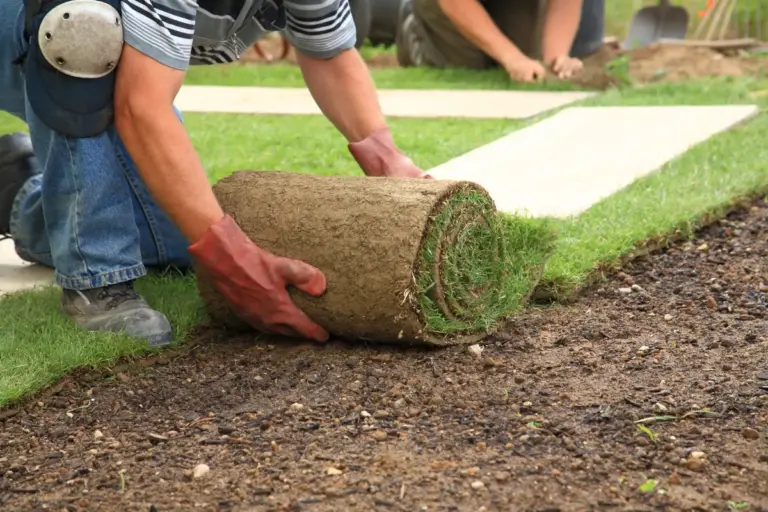 Garden Design: Essential Tips for Beginners in Orlando